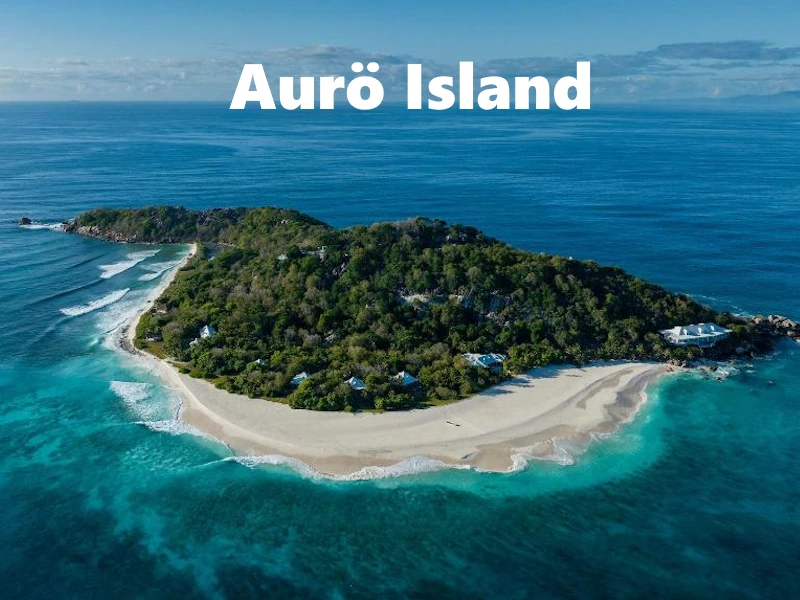 Aurö