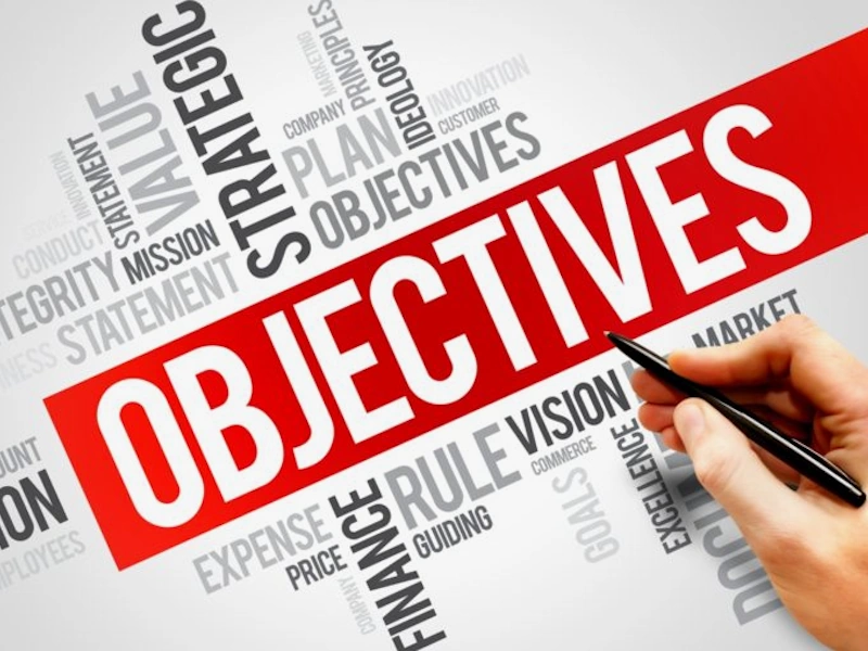 None Company Objectives 2025